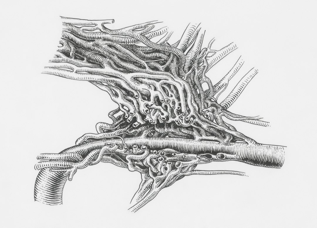Diabetic Neuropathy Progression: How Nerve Damage Stages Develop Over Time